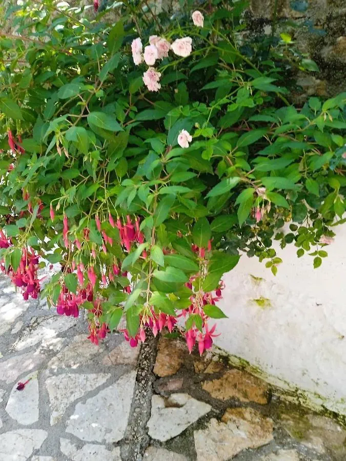 Nice Studio Flat Close To Saranda Albania Appartement Nivice 0*, Nivice (Vlore)